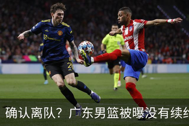 确认离队？广东男篮被曝没有续约杜锋，新主教练人选正式曝光！